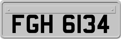 FGH6134
