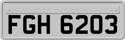 FGH6203