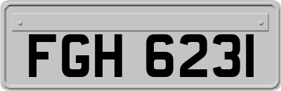 FGH6231