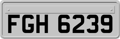 FGH6239