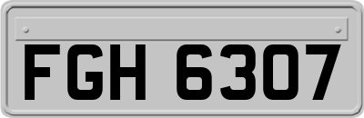 FGH6307