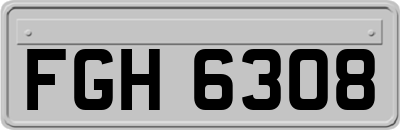 FGH6308