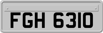 FGH6310