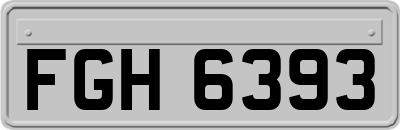 FGH6393