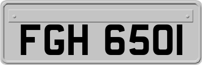 FGH6501