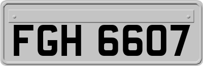 FGH6607