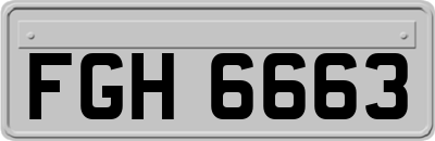 FGH6663