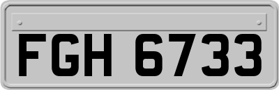 FGH6733