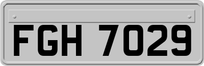 FGH7029