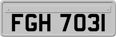 FGH7031
