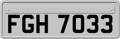 FGH7033