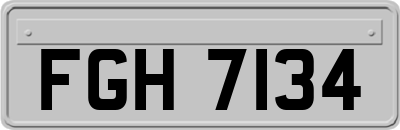 FGH7134