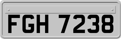 FGH7238