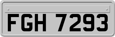 FGH7293