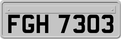 FGH7303