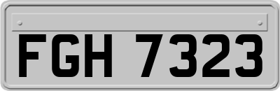 FGH7323