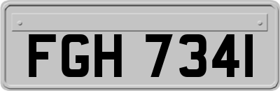 FGH7341