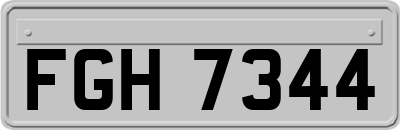 FGH7344