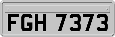 FGH7373