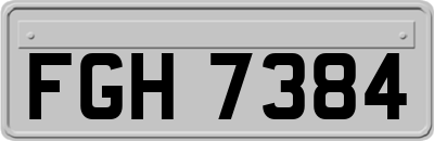 FGH7384