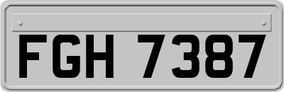FGH7387