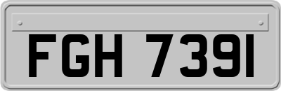 FGH7391