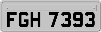 FGH7393