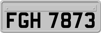 FGH7873