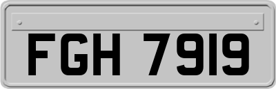 FGH7919