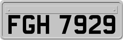 FGH7929
