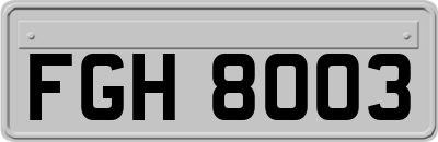 FGH8003