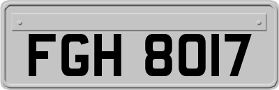 FGH8017
