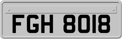 FGH8018