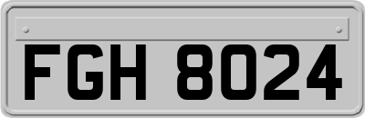 FGH8024