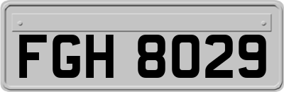FGH8029