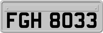 FGH8033