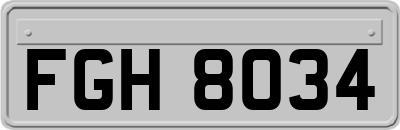 FGH8034