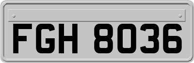 FGH8036