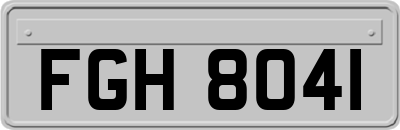 FGH8041