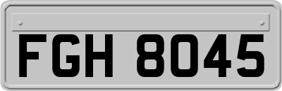 FGH8045