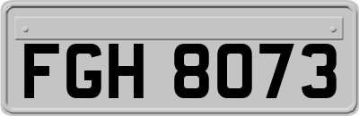 FGH8073