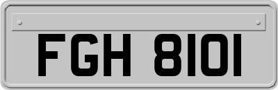FGH8101