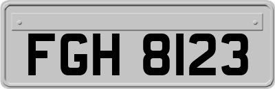 FGH8123