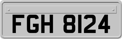 FGH8124