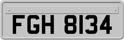FGH8134