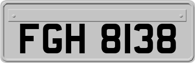 FGH8138