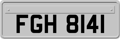 FGH8141