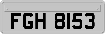 FGH8153
