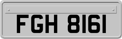 FGH8161