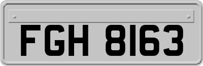 FGH8163